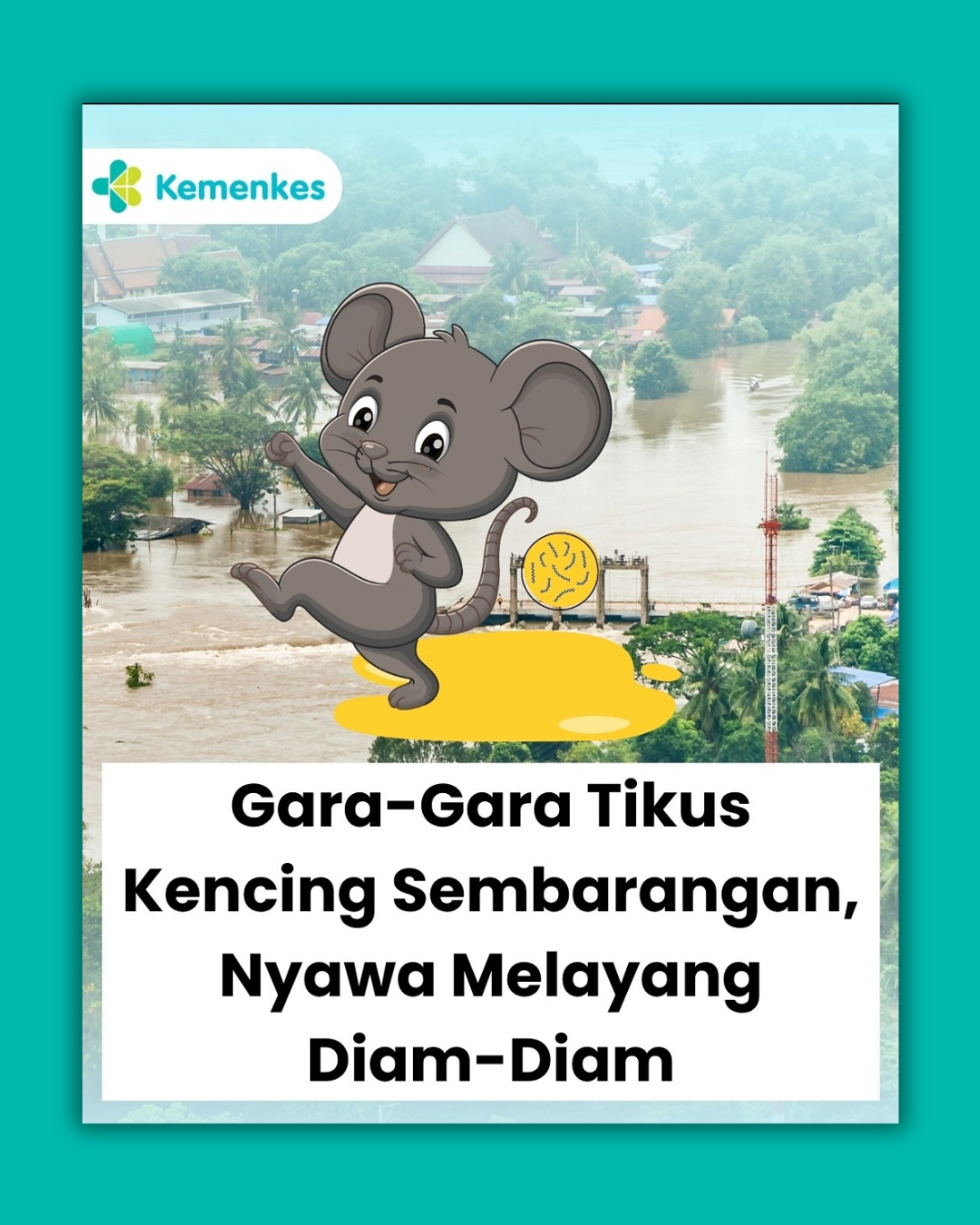 WASPADA ! Kemenkes Peringatkan Bahaya Leptospirosis