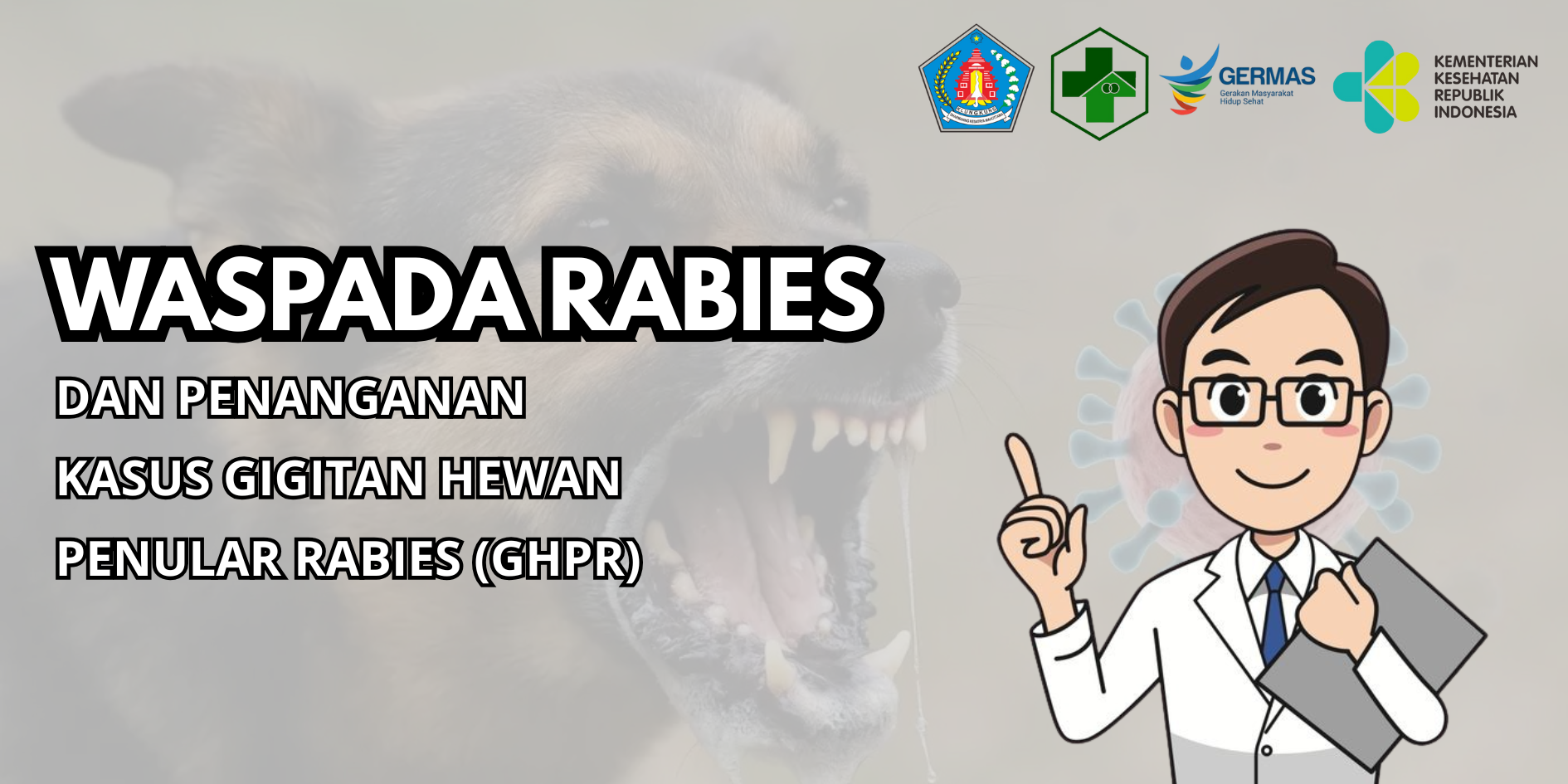 WASPADA RABIES ! Kenali Bahayanya dan Langkah Penanganannya