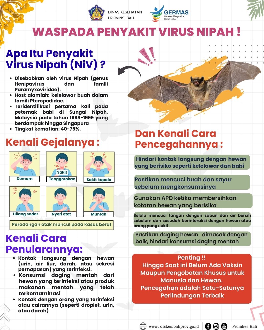 Mengenal Virus Nipah: Ancaman Zoonosis yang Perlu Kita Waspadai