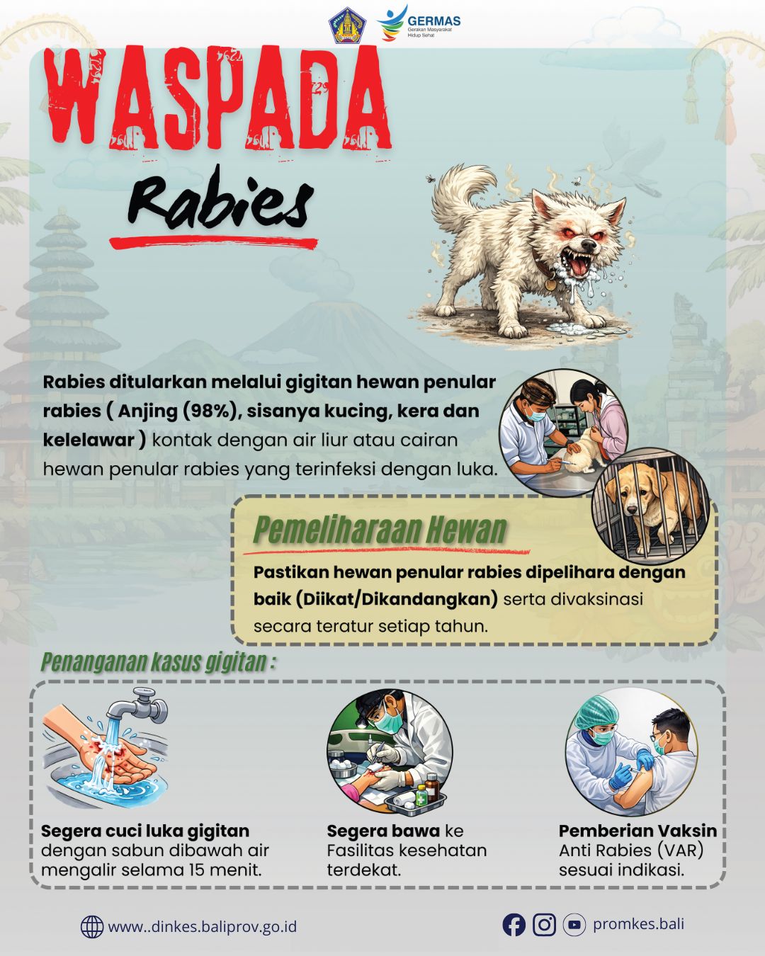 Kenali Gejala Rabies Sejak Dini