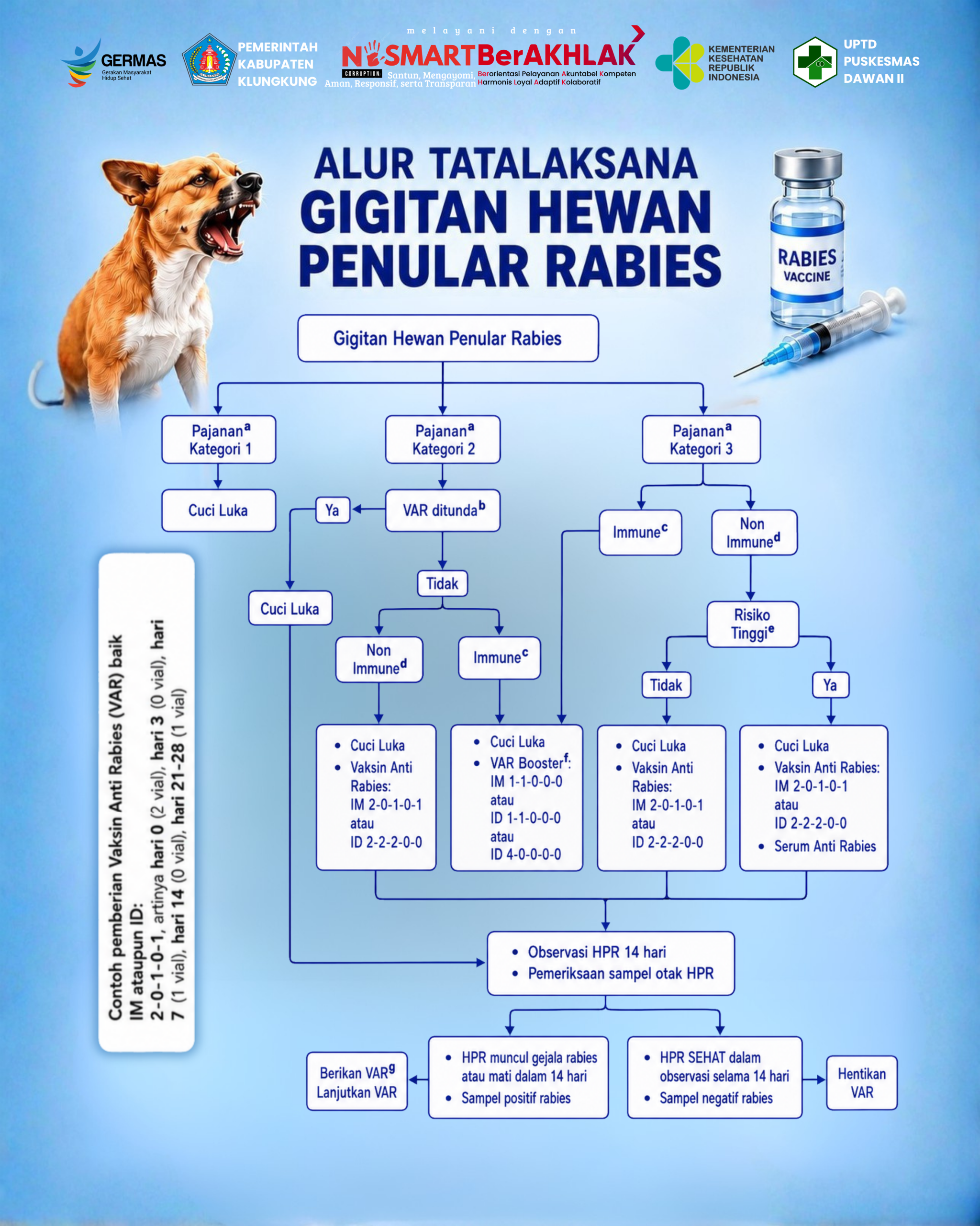 Tata Laksana Penanganan pada Luka Gigitan Hewan Penular Rabies (HPR)